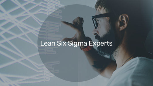 a six sigma expert employee